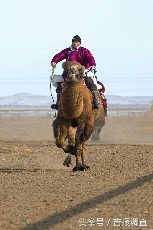 大漠孤烟，黄沙如泻，残阳如血，荒漠之舟在傲视群雄……(图64)