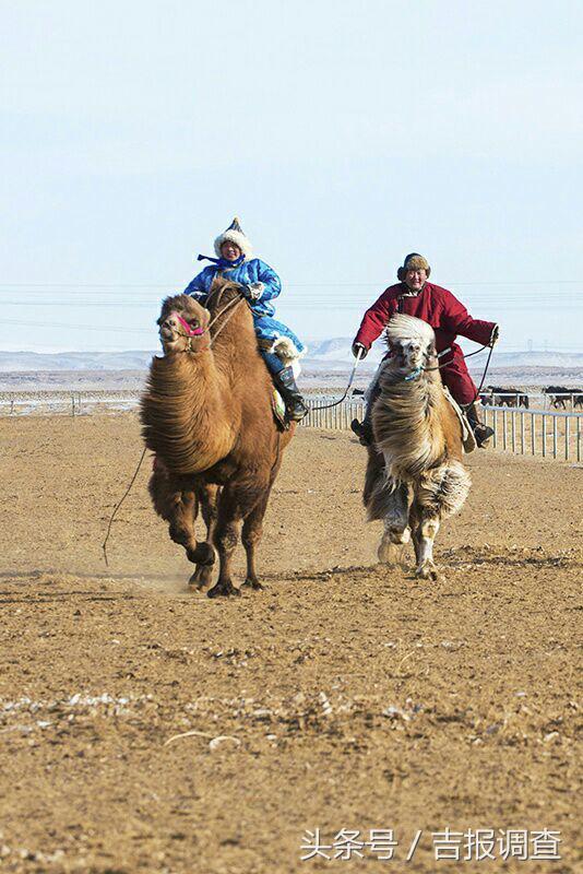 大漠孤烟，黄沙如泻，残阳如血，荒漠之舟在傲视群雄……(图66)