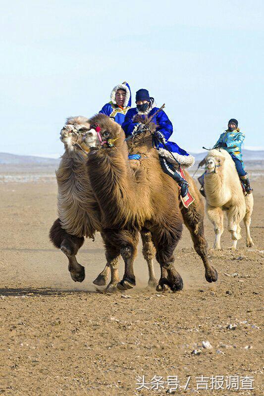 大漠孤烟，黄沙如泻，残阳如血，荒漠之舟在傲视群雄……(图68)