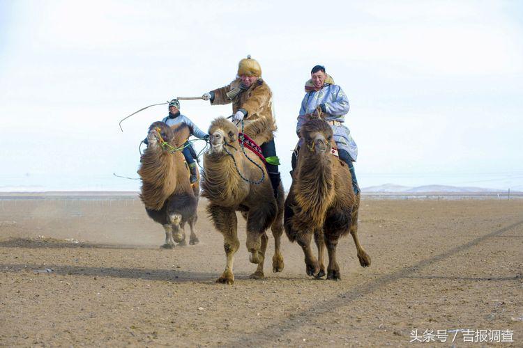 大漠孤烟，黄沙如泻，残阳如血，荒漠之舟在傲视群雄……(图69)
