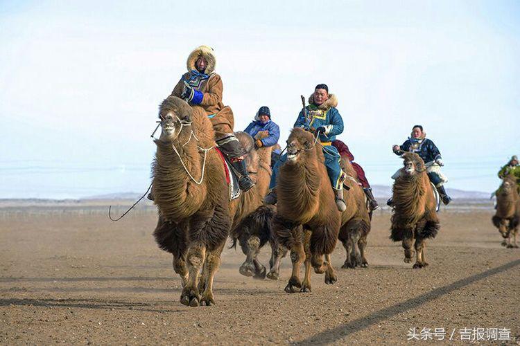 大漠孤烟，黄沙如泻，残阳如血，荒漠之舟在傲视群雄……(图70)
