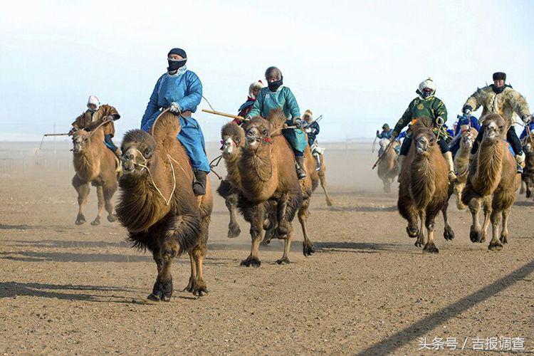 大漠孤烟，黄沙如泻，残阳如血，荒漠之舟在傲视群雄……(图71)