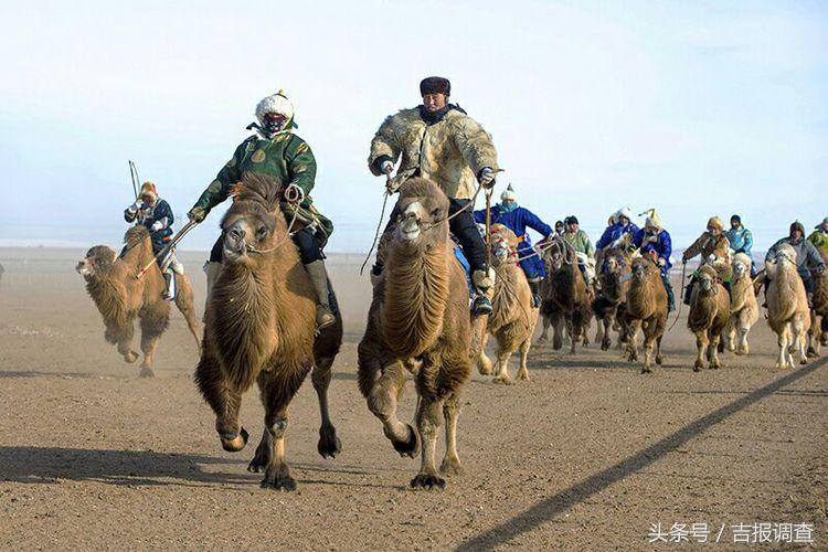 大漠孤烟，黄沙如泻，残阳如血，荒漠之舟在傲视群雄……(图72)