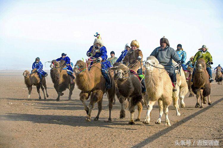 大漠孤烟，黄沙如泻，残阳如血，荒漠之舟在傲视群雄……(图73)