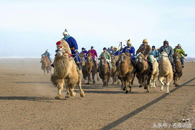 大漠孤烟，黄沙如泻，残阳如血，荒漠之舟在傲视群雄……(图74)