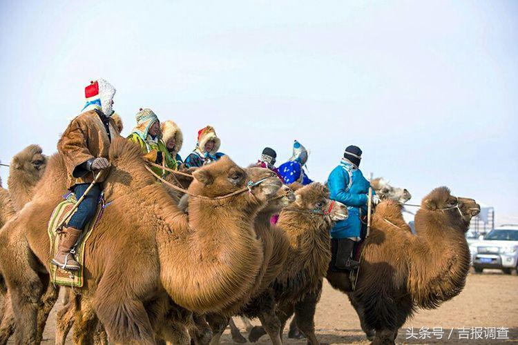 大漠孤烟，黄沙如泻，残阳如血，荒漠之舟在傲视群雄……(图75)