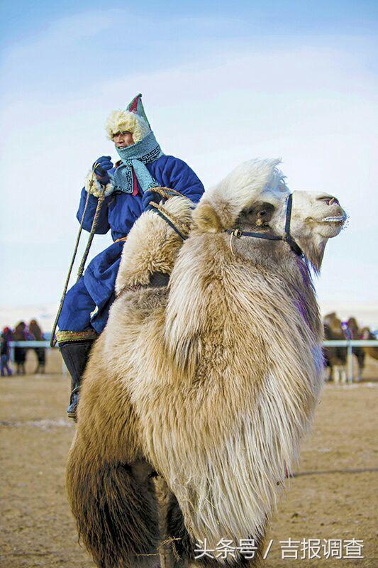 大漠孤烟，黄沙如泻，残阳如血，荒漠之舟在傲视群雄……(图76)