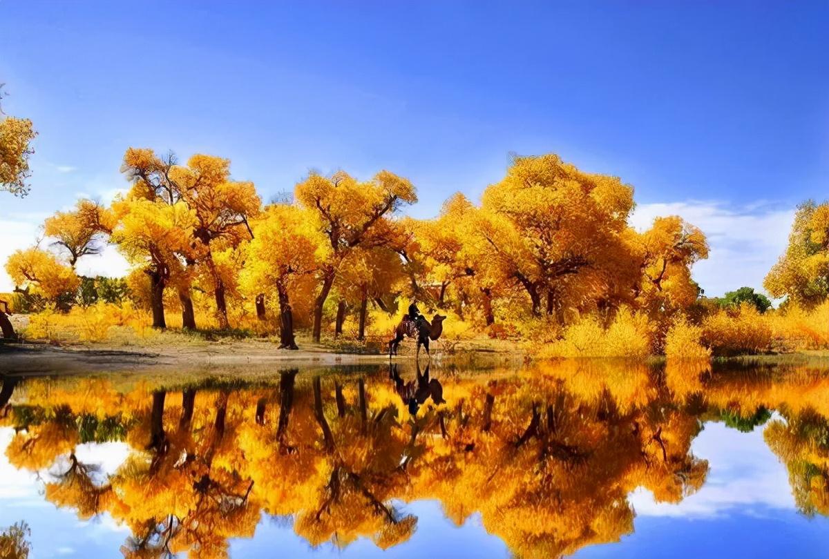 万里云 | ​雲烟聚散千秋月 我自岿然我自狂（大漠胡楊七律三首）(图3)