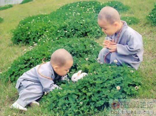 笑死人不偿命,精选85条俏皮话,太有意思了(图1) 笑死人不偿命,精选85条俏皮话,太有意思了(图1)