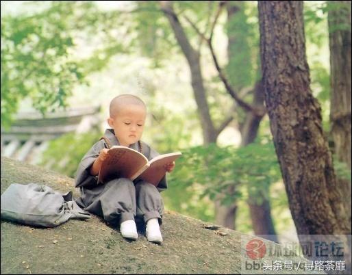 笑死人不偿命，精选85条俏皮话，太有意思了(图3)