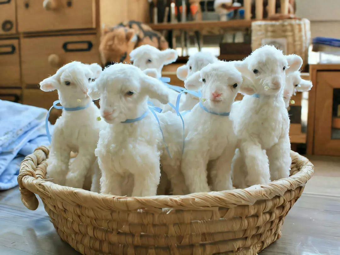 文案  |  努力赚钱的文案(图1)