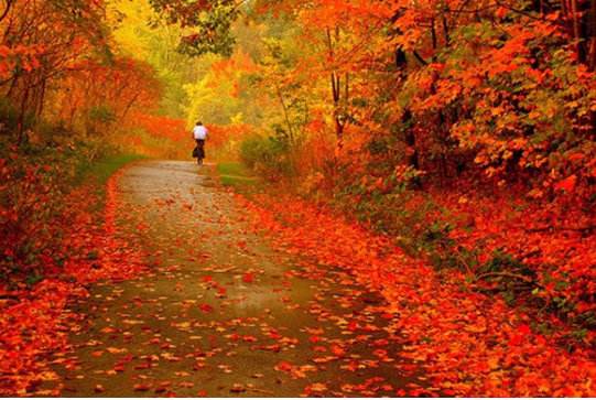 秋天的夕阳，醉天地，美人间。(文)(图5)