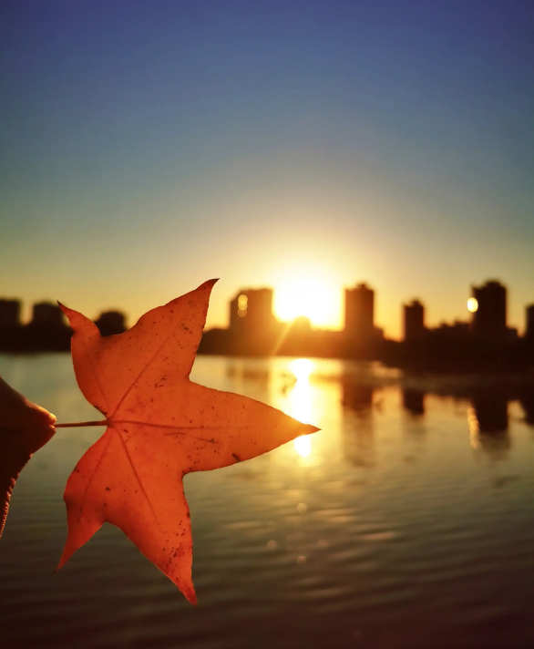 又见夕阳红，有关夕阳的诗句，带你领略秋日夕阳之美!(图9)