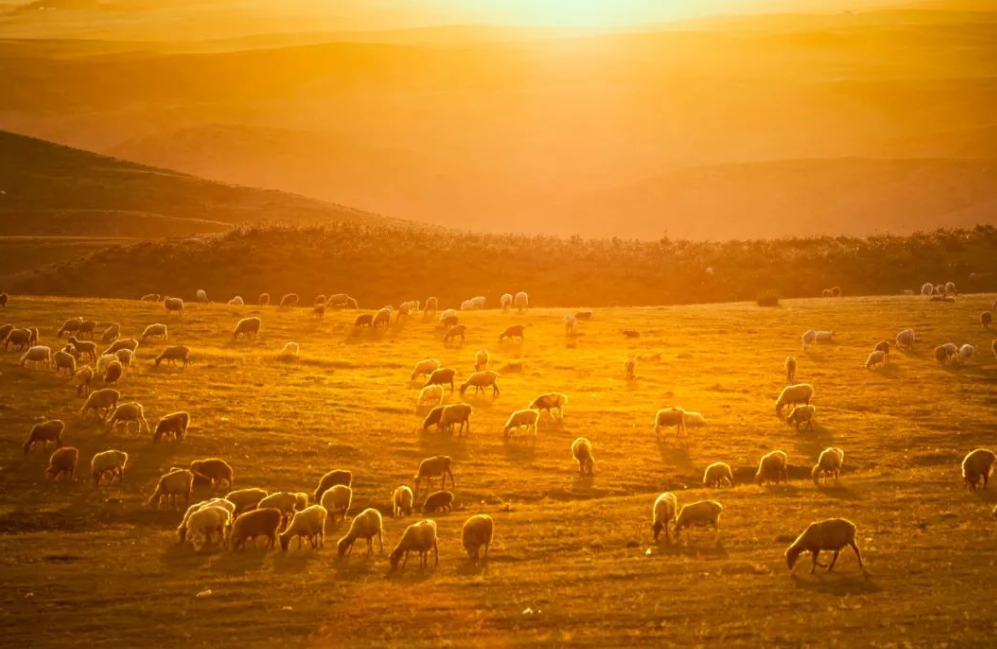 又见夕阳红，有关夕阳的诗句，带你领略秋日夕阳之美!(图11)