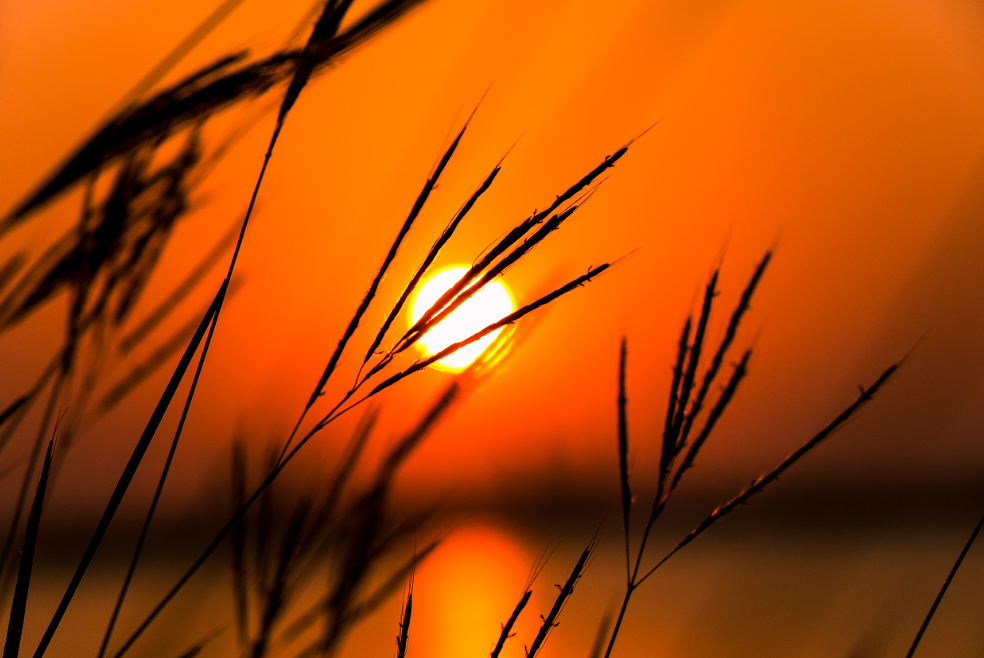 又见夕阳红，有关夕阳的诗句，带你领略秋日夕阳之美!(图13)