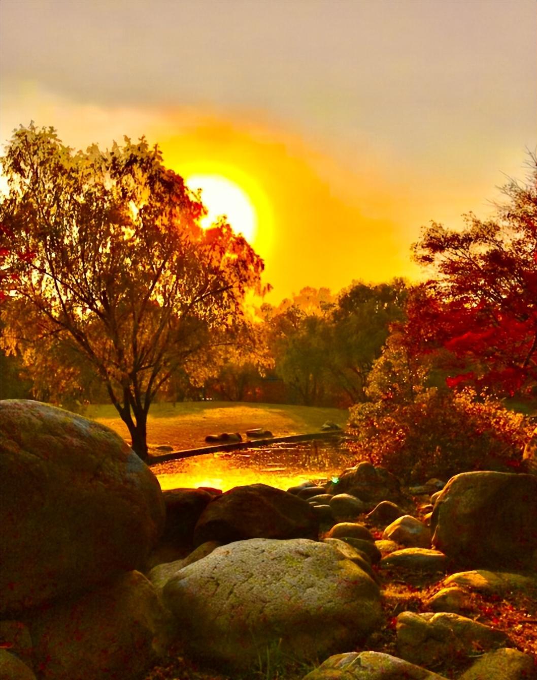 又见夕阳红，有关夕阳的诗句，带你领略秋日夕阳之美!(图19)