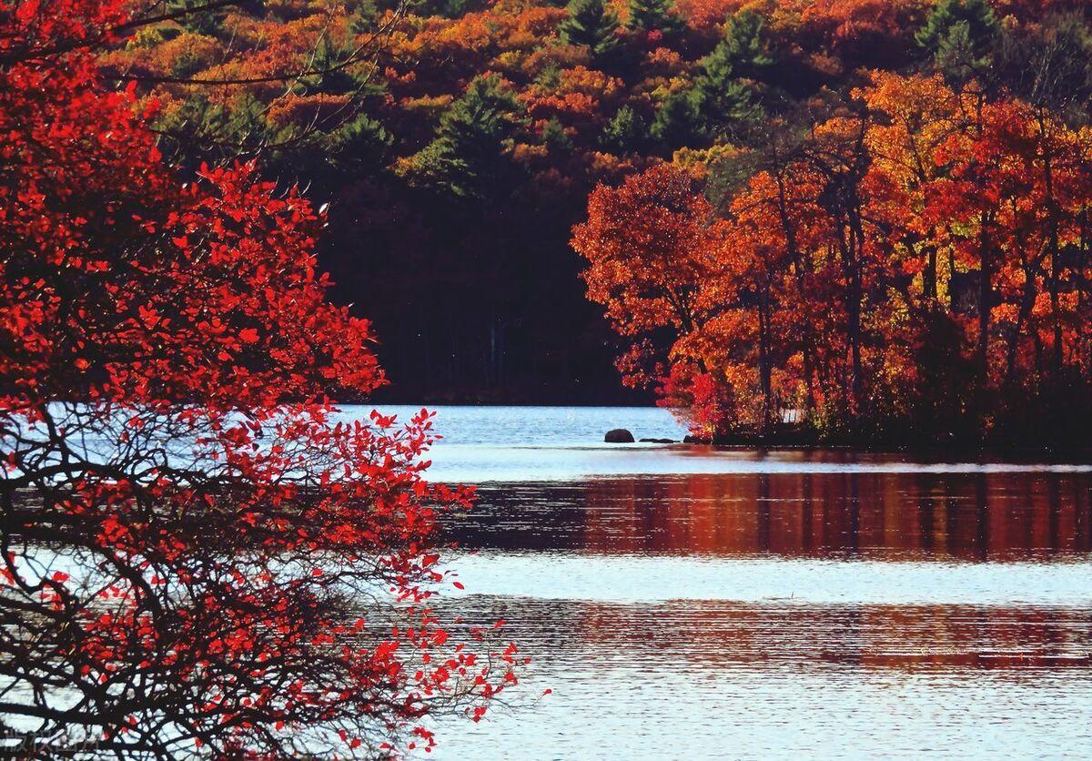 适合秋天发朋友圈的高赞文案 | 落日余晖秋意浓，想你也在念秋风(图2)