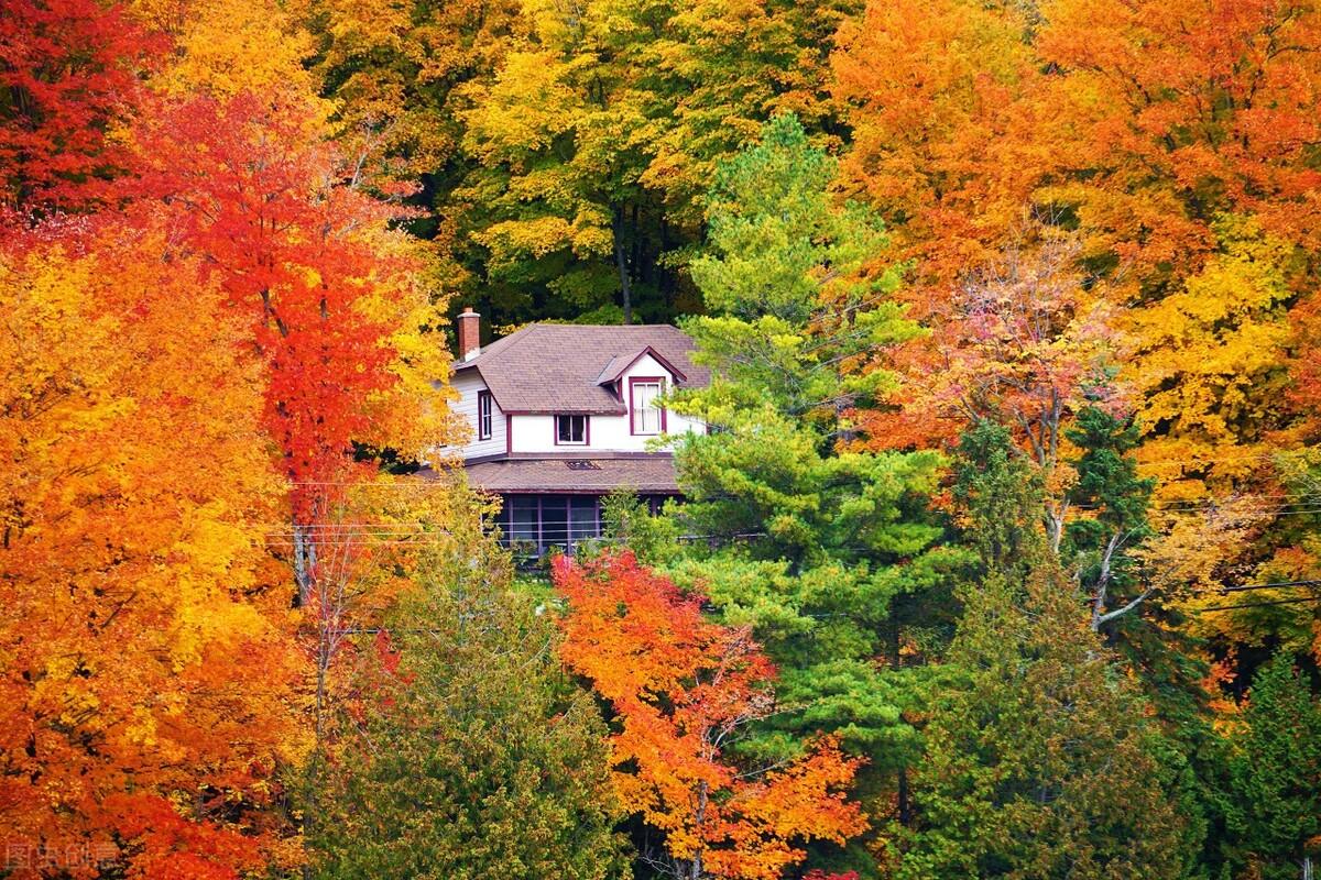 适合秋天发朋友圈的高赞文案 | 落日余晖秋意浓，想你也在念秋风(图5)