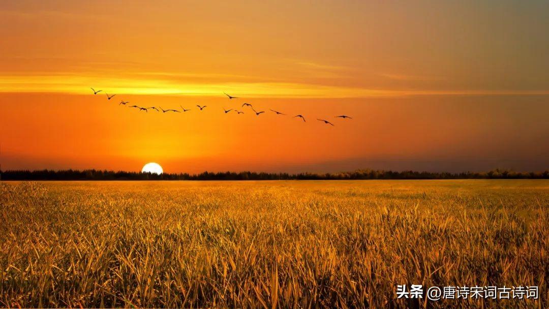 秋天，又是黄昏时分(图3)