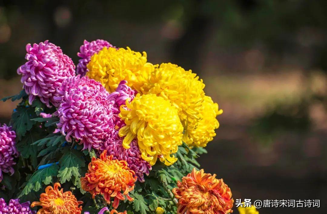 秋天，又是黄昏时分(图4)