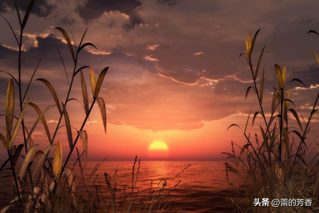 幸得夕阳醉，秋风三分美，一抹余晖清风里，依梦种黄昏(图2)