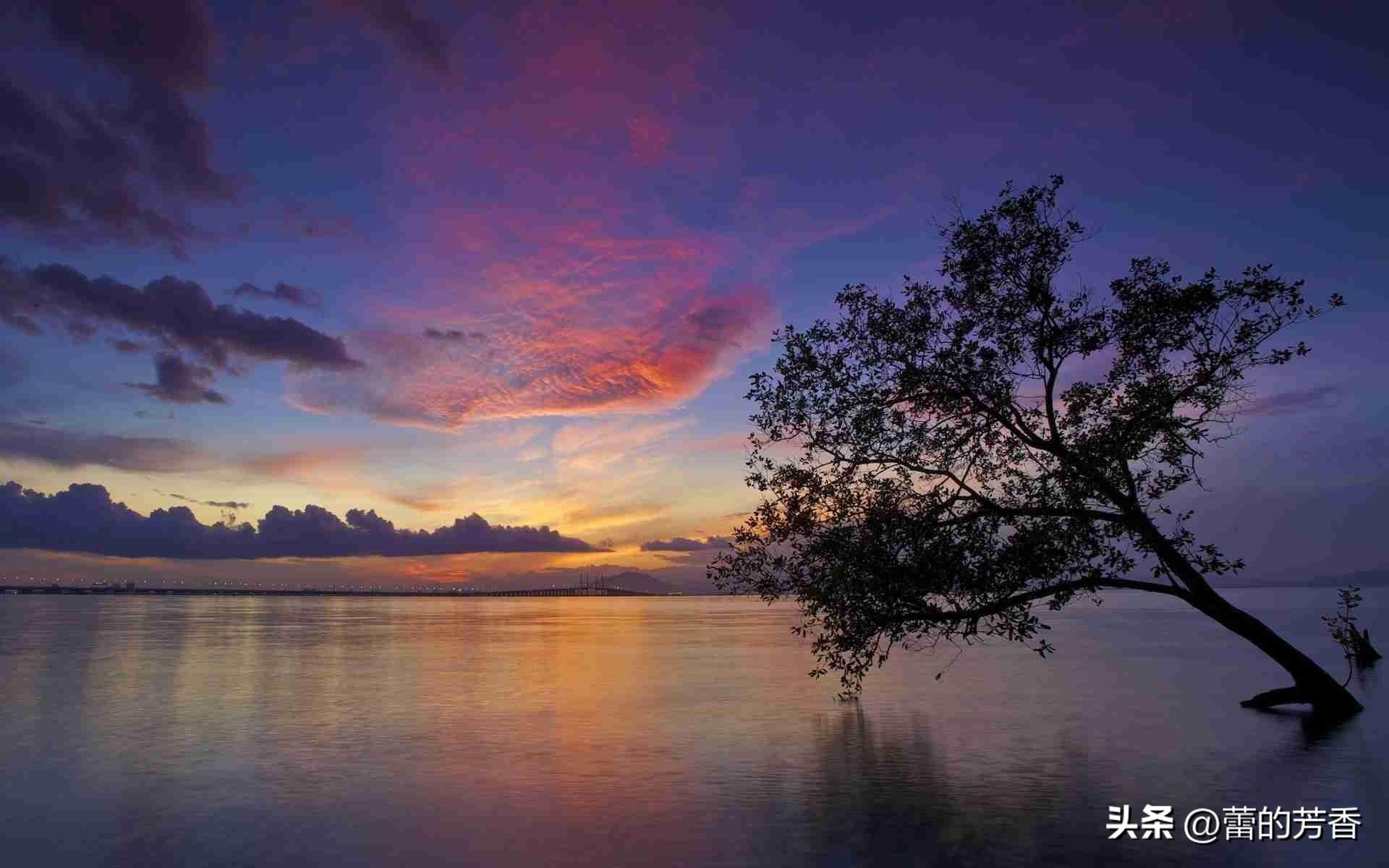 幸得夕阳醉，秋风三分美，一抹余晖清风里，依梦种黄昏(图3)