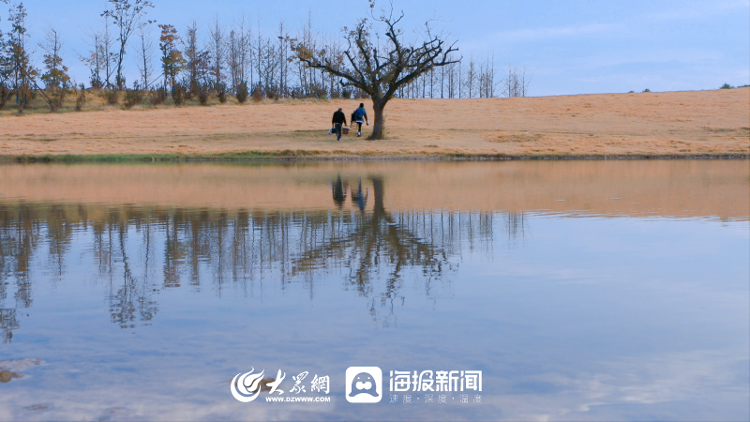 秋天的童话 |⑯ 夕阳美如画，清风醉晚霞(图2)