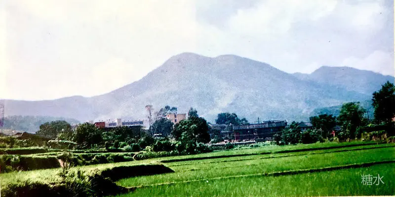 成功中学往事(图6) 成功中学往事(图6)