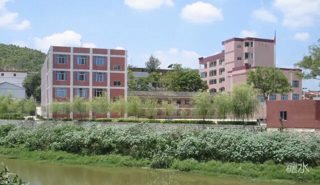 成功中学往事(图80) 成功中学往事(图80)