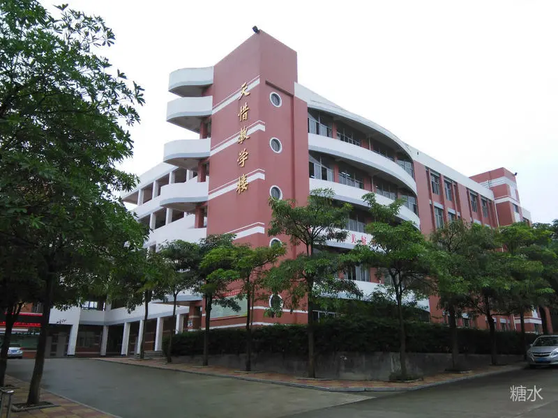 成功中学往事(图85) 成功中学往事(图85)