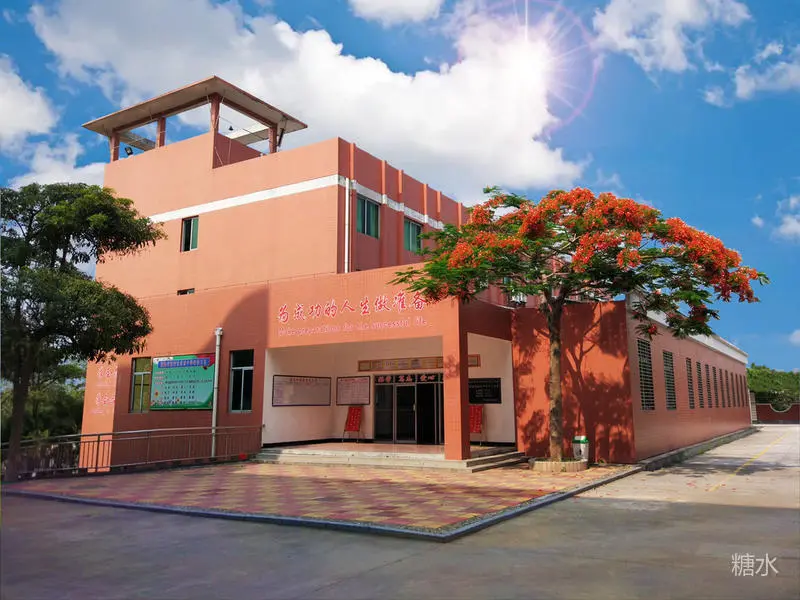 成功中学往事(图86) 成功中学往事(图86)