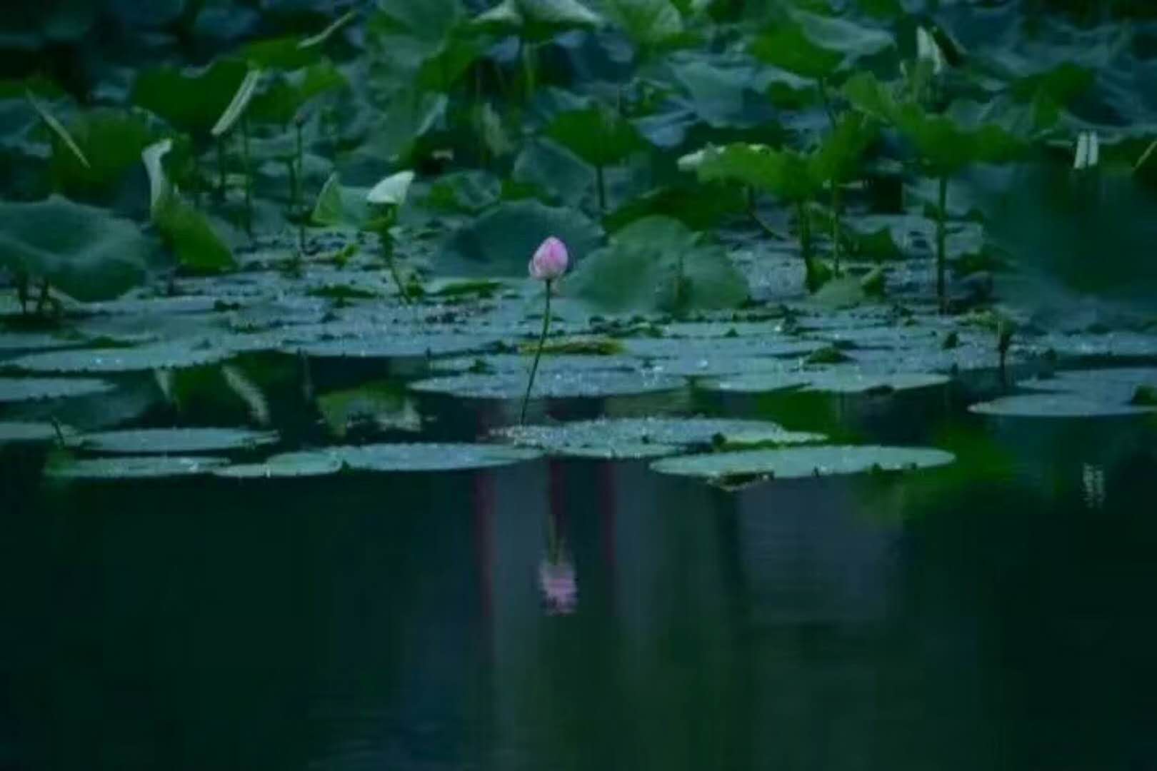 佛入涅槃是斗不过魔王，才无奈答应的吗(图1)