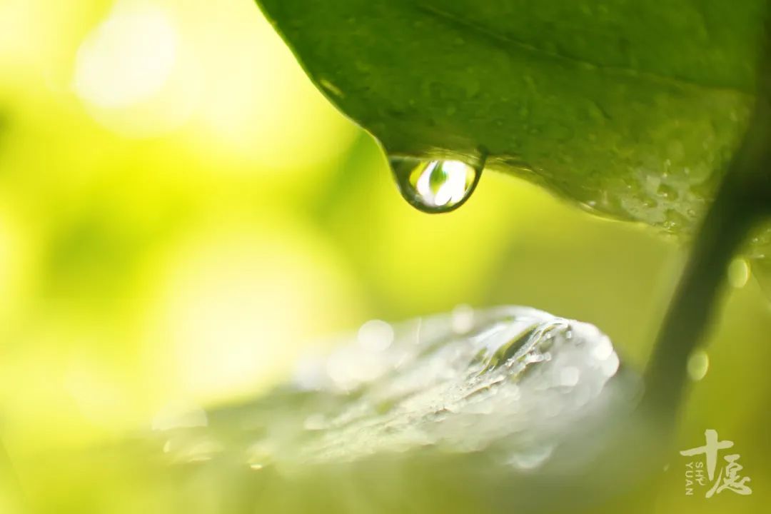 人心当如水 | 不要让最后一滴水成为我们的眼泪！(图1)