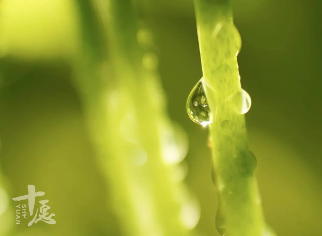 人心当如水 | 不要让最后一滴水成为我们的眼泪！(图2)