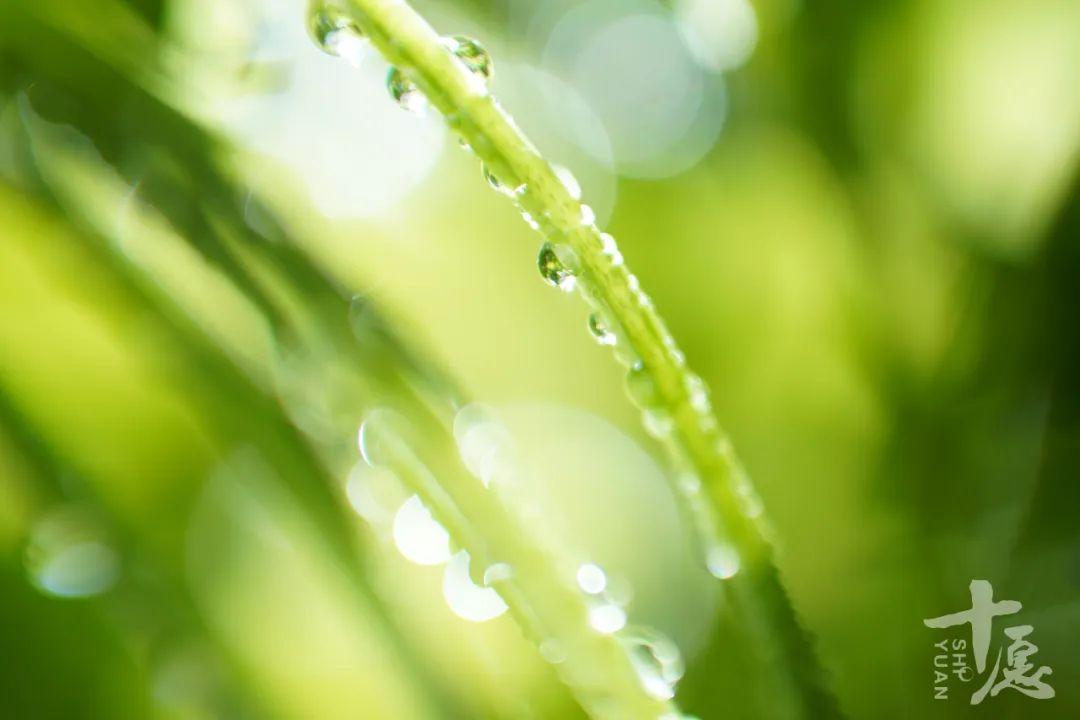 人心当如水 | 不要让最后一滴水成为我们的眼泪！(图3)