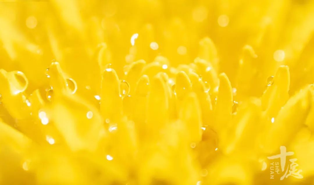 人心当如水 | 不要让最后一滴水成为我们的眼泪！(图4)