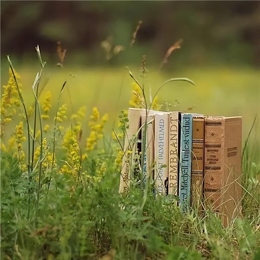 凝心聚力，迎接成功的考验——20句激励高考生的短句(图1)