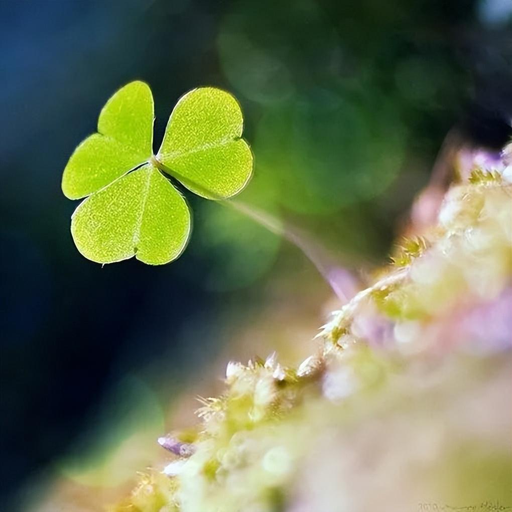 凝心聚力，迎接成功的考验——20句激励高考生的短句(图4)