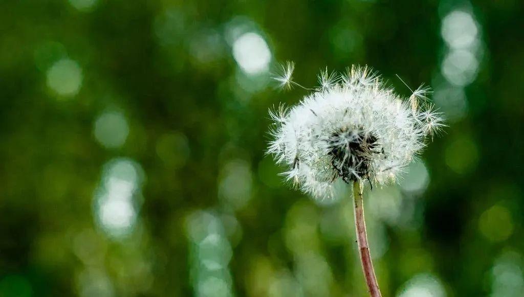 凝心聚力，迎接成功的考验——20句激励高考生的短句(图5)