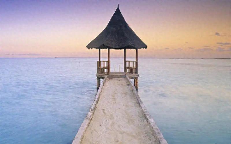 分享22句赞美宝贝的句子(图1)