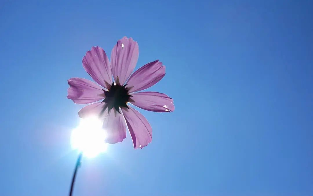 分享22句赞美宝贝的句子(图2)