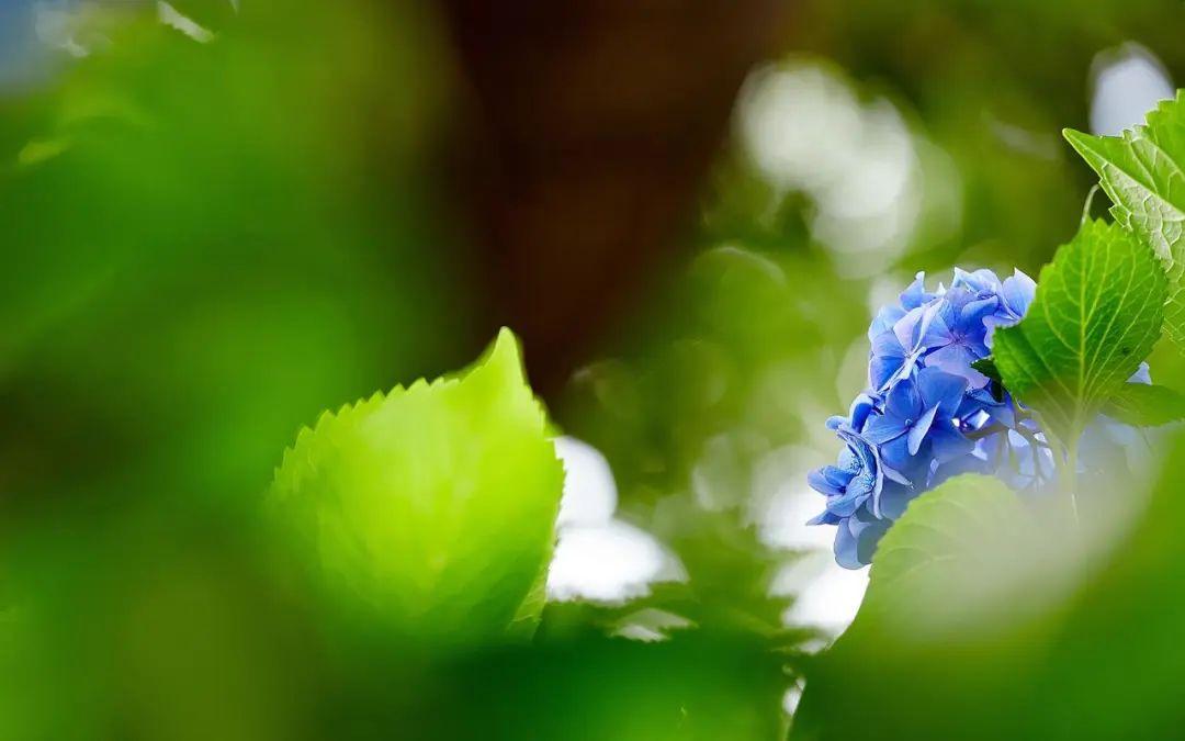 分享22句赞美宝贝的句子(图3)