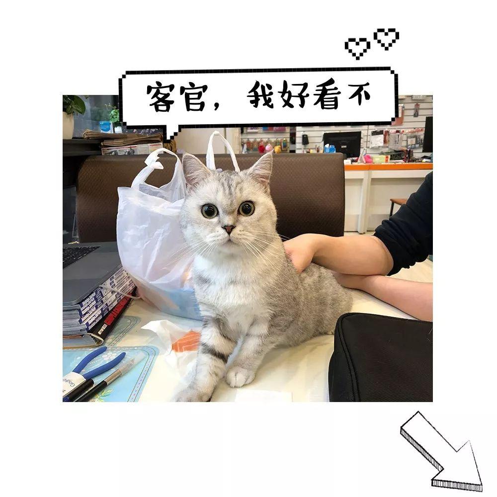 「美图欣赏」Hot Toys灭霸2.0终于出货了！(图18)