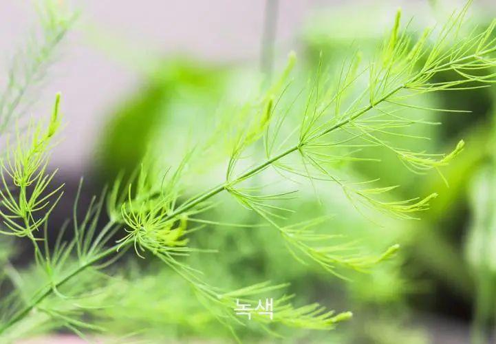 时光流转，唯美怀念青春的句子，勾起回忆的暖心旋律！(图3)