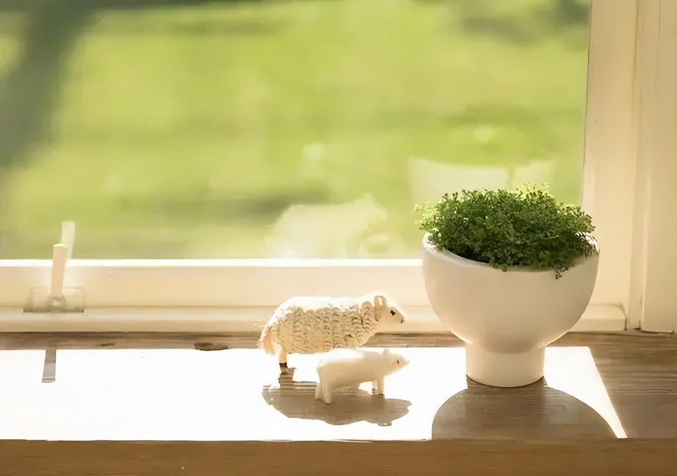 时光流转，唯美怀念青春的句子，勾起回忆的暖心旋律！(图4)