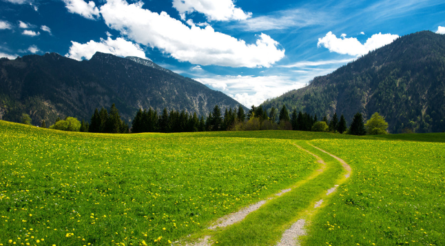 俞敏洪经典励志语录(图2)