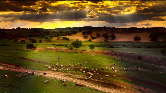 俞敏洪经典励志语录(图3)