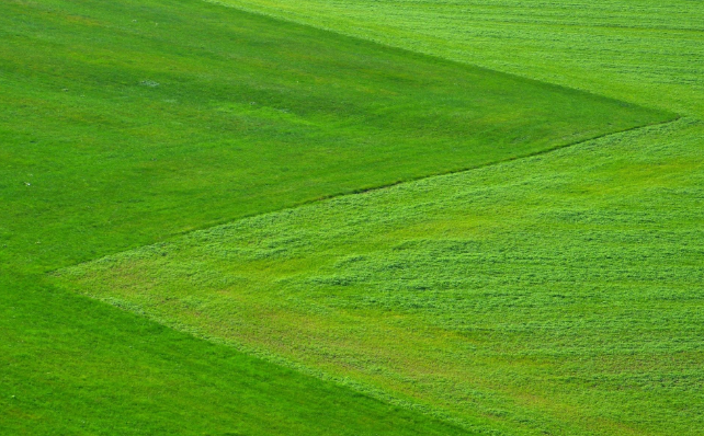 俞敏洪经典励志语录(图6)