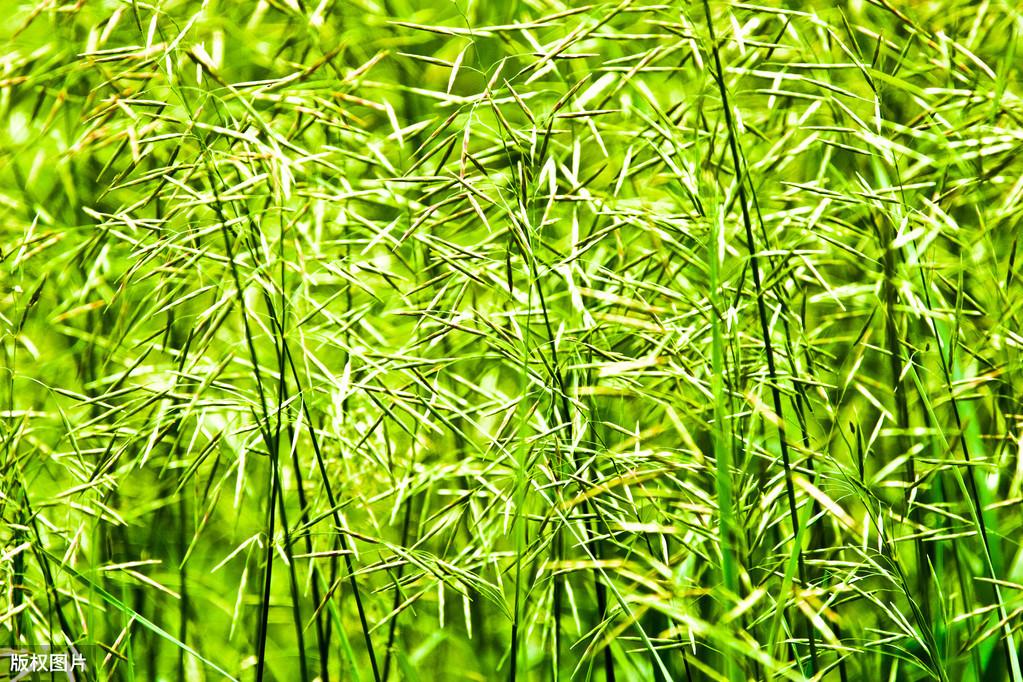 俞敏洪经典励志语录(图9)