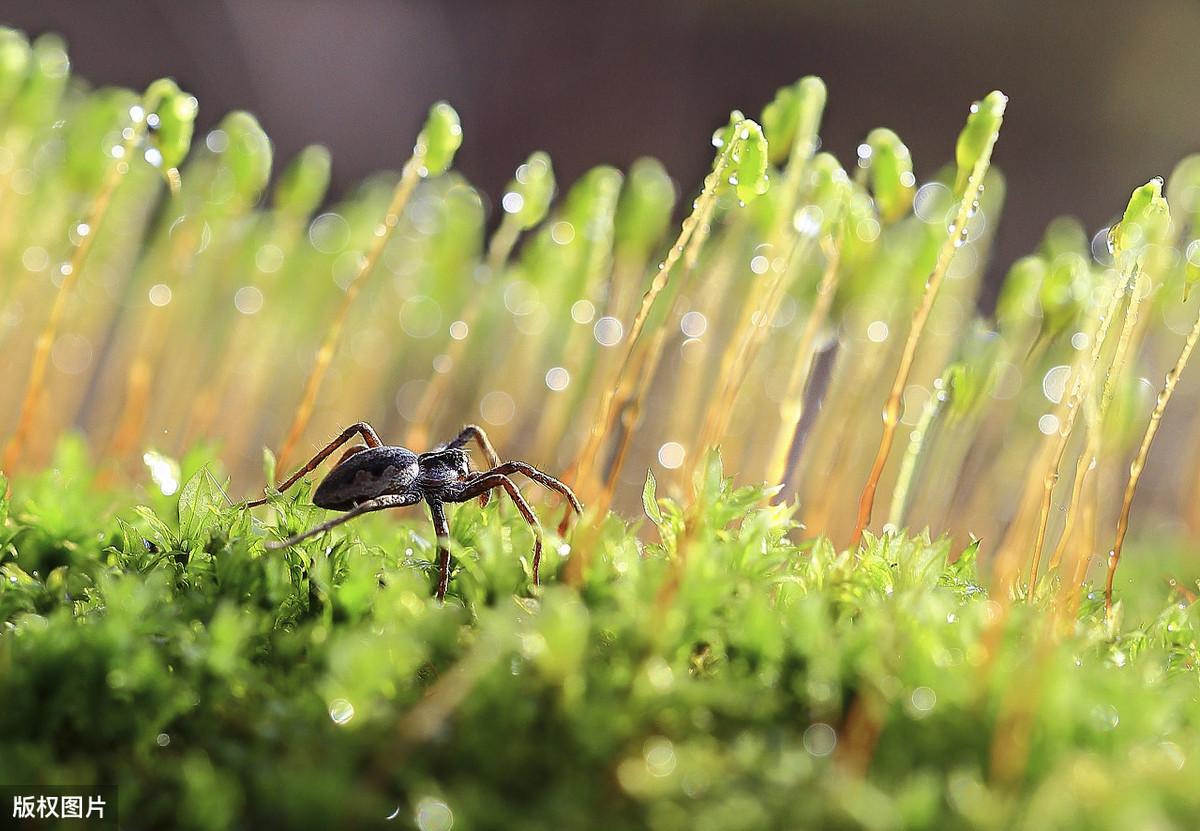 俞敏洪经典励志语录(图16)